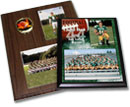 Sports Plaques