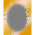 4x5 Magnet