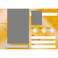 Trader Cards
