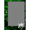 Frame 5x7 V
