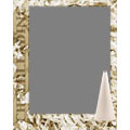 Frame 8x10 V
