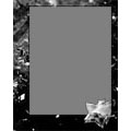 Frame 8x10 V