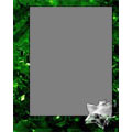 Frame 8x10 V