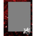 Frame 8x10 V