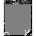 Magazine Cover