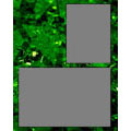 8x10 Memory Mate