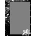 Wallet Frame