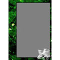 Wallet Frame