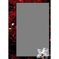 Wallet Frame