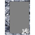 Wallet Frame